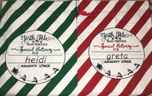 Load image into Gallery viewer, North Pole Mail Service Santa Sack