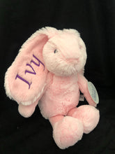 Load image into Gallery viewer, Frankie Plush Bunnies