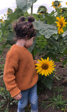 Load image into Gallery viewer, Kids Unisex Knitted Jumpers