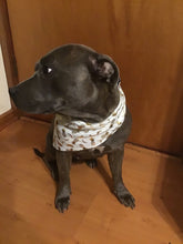 Load image into Gallery viewer, Dog Bandana