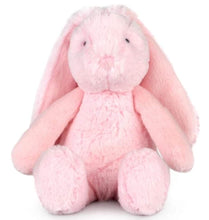 Load image into Gallery viewer, Frankie Plush Bunnies