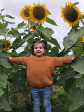 Load image into Gallery viewer, Kids Unisex Knitted Jumpers