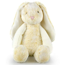 Load image into Gallery viewer, Frankie Plush Bunnies