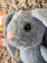 Load image into Gallery viewer, Name/Announcement Bunnies