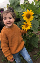 Load image into Gallery viewer, Kids Unisex Knitted Jumpers