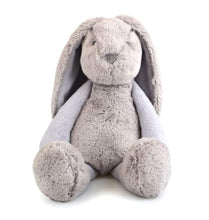 Load image into Gallery viewer, Frankie Plush Bunnies