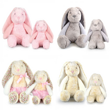 Load image into Gallery viewer, Frankie Plush Bunnies