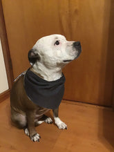 Load image into Gallery viewer, Dog Bandana