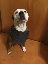 Load image into Gallery viewer, Dog Bandana
