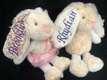 Load image into Gallery viewer, Frankie Plush Bunnies