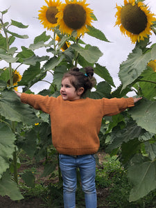 Kids Unisex Knitted Jumpers